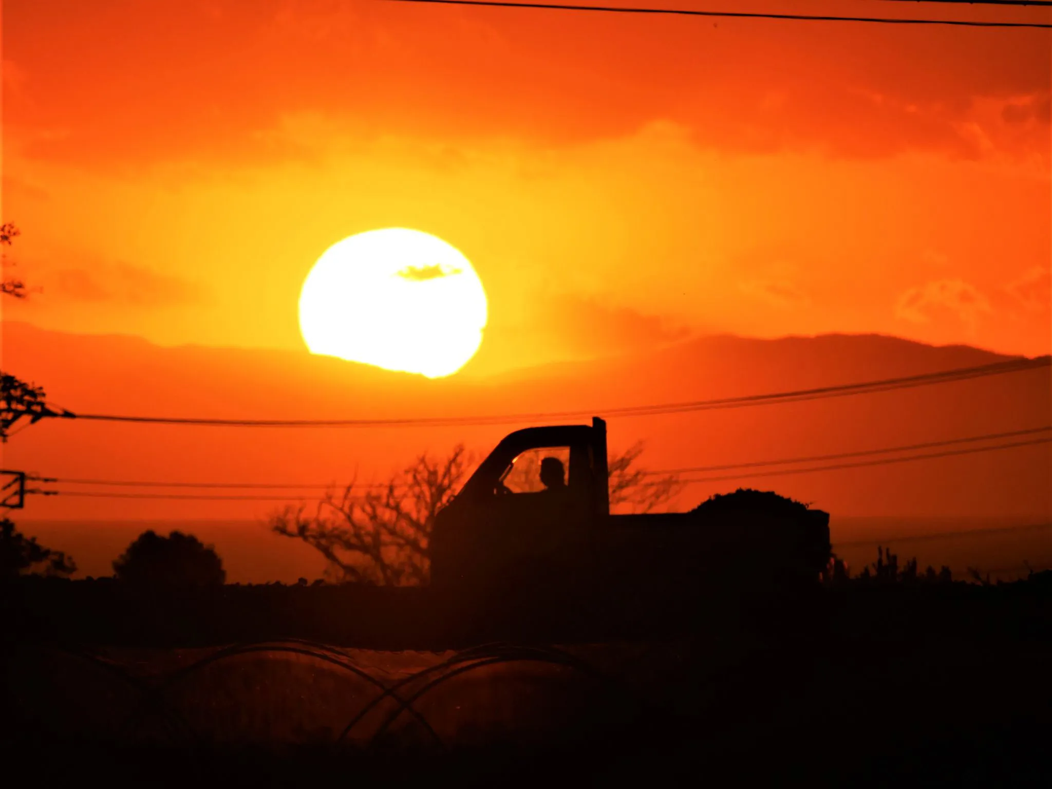 夕日 No.0000