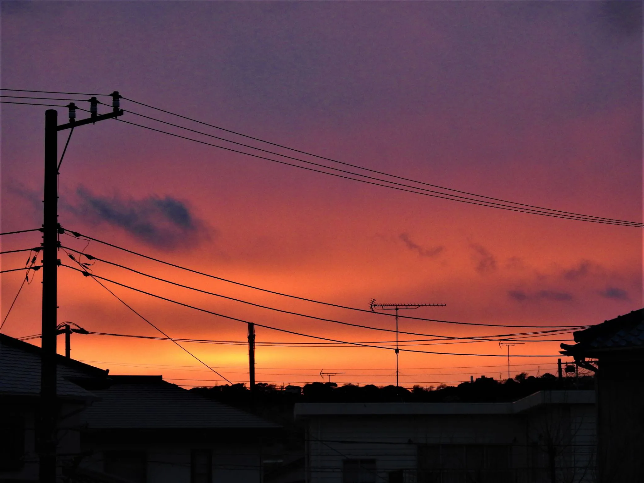 真っ赤な夕焼け No.0000