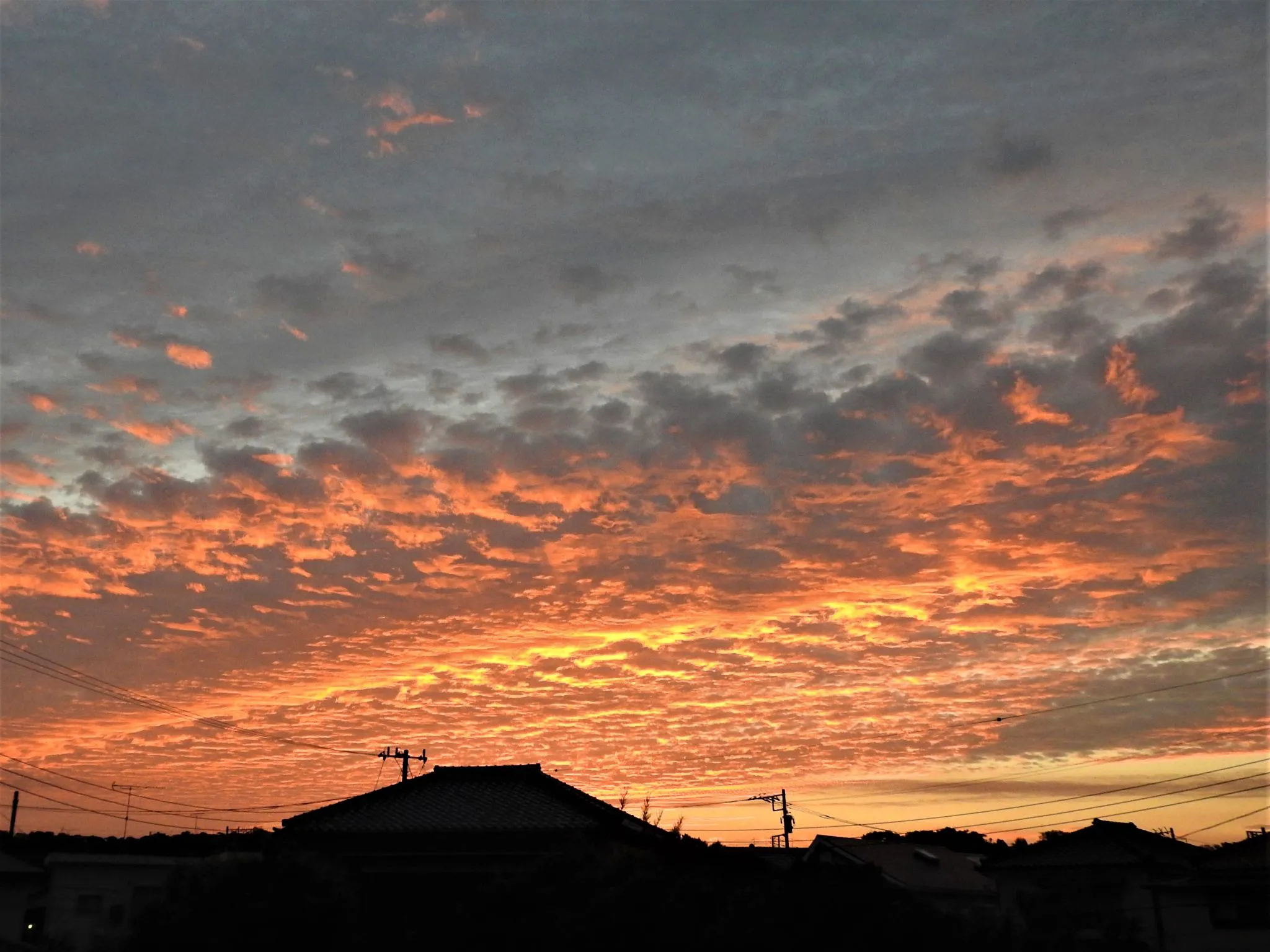 夕焼け No.0000