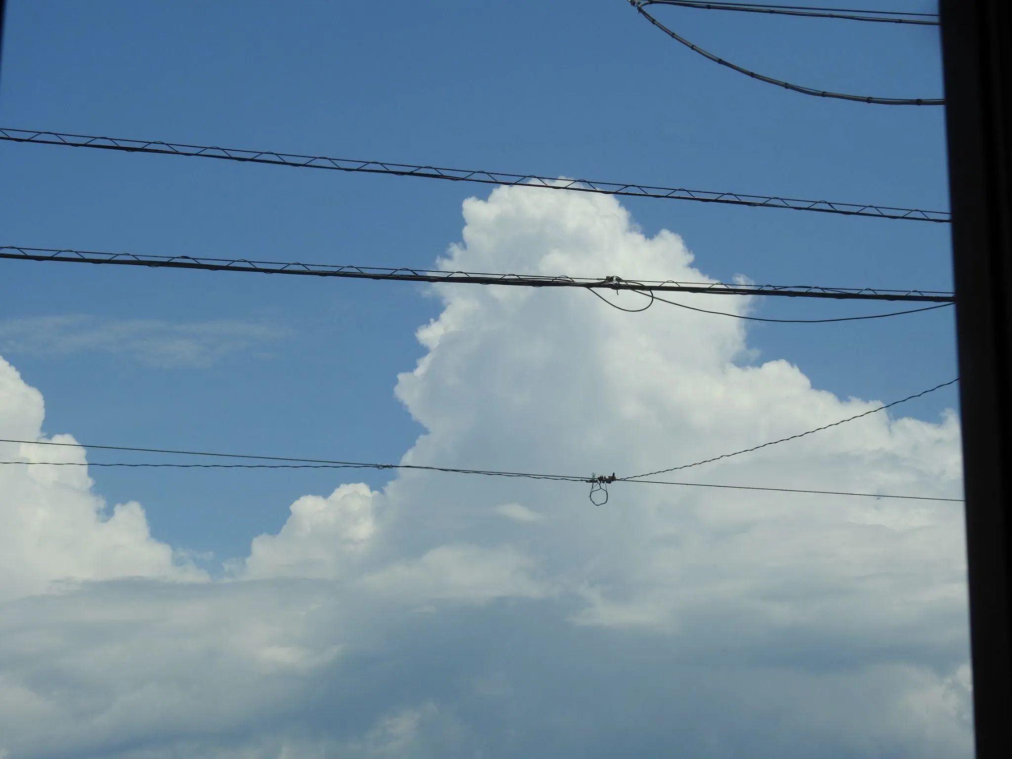 ゴリラ顔の入道雲 No.0000