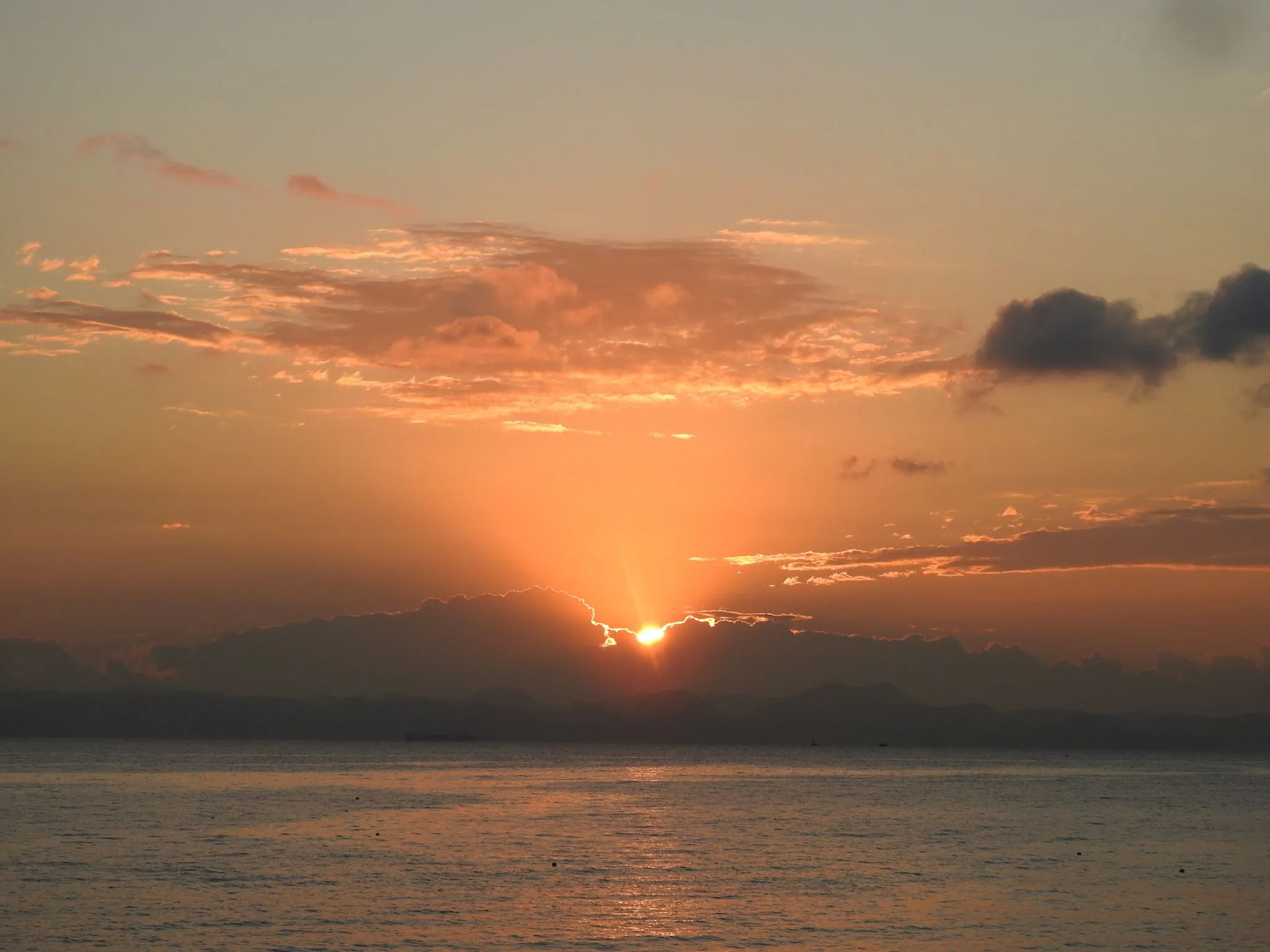 朝日と朝焼け雲形が魚？？。 No.0000
