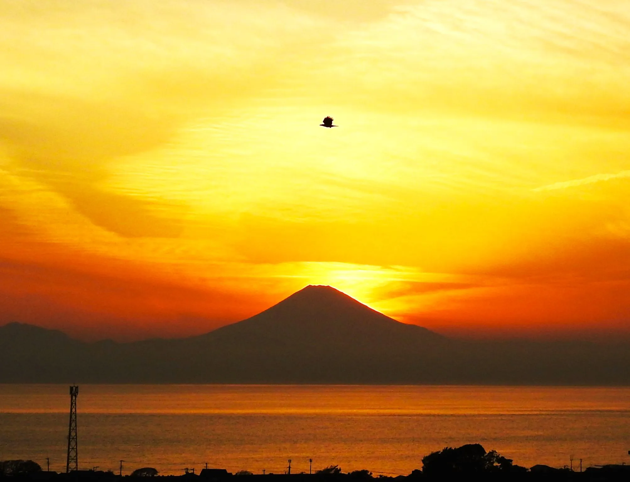夕焼けと富士山とトンビのおまけ No.0000