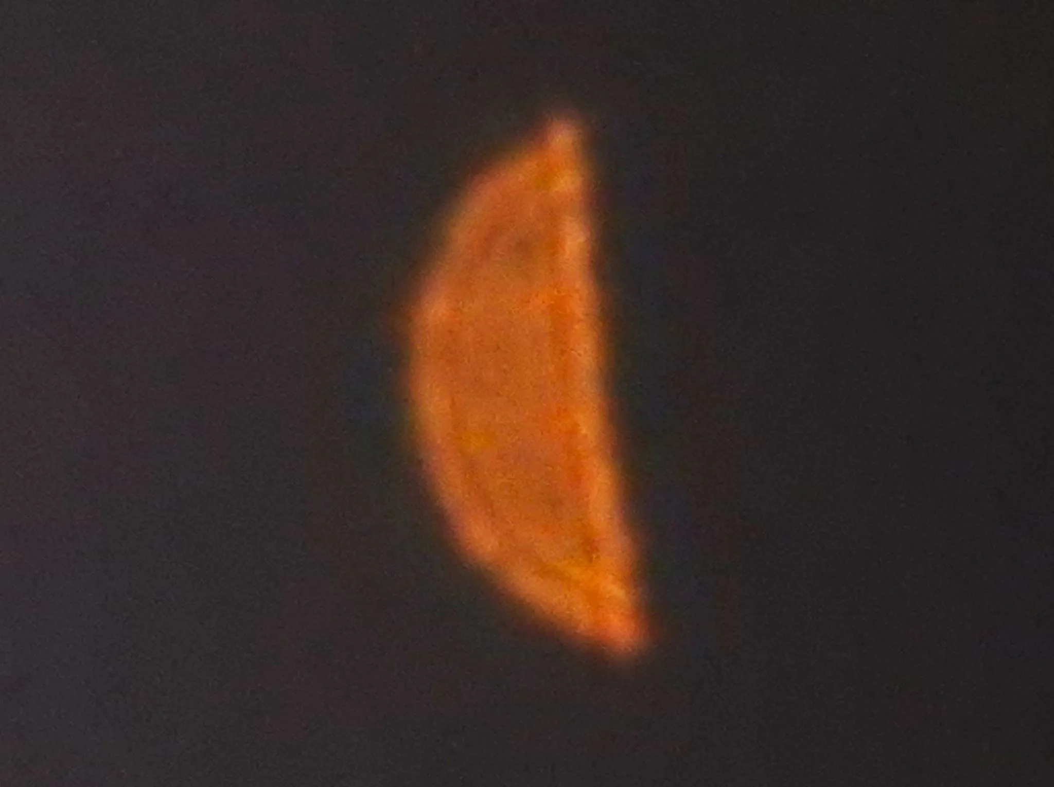 明けの明星だと思いますが？？。 No.0000