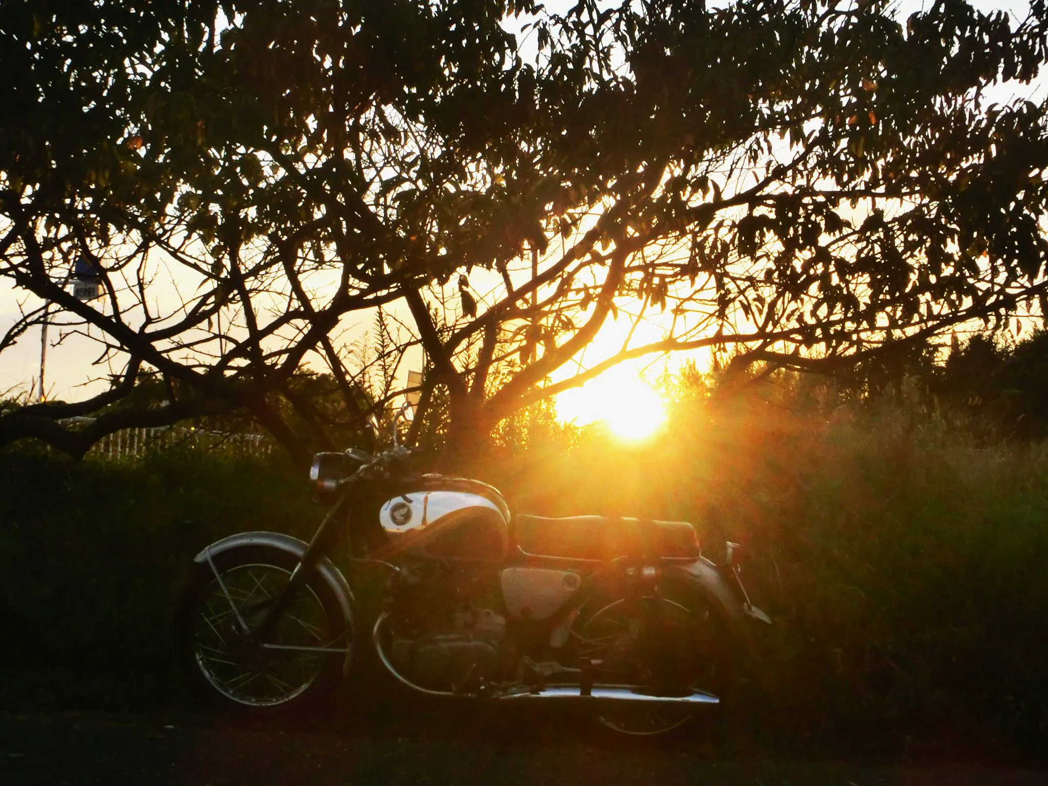 夕日と愛車のコラボ No.0000