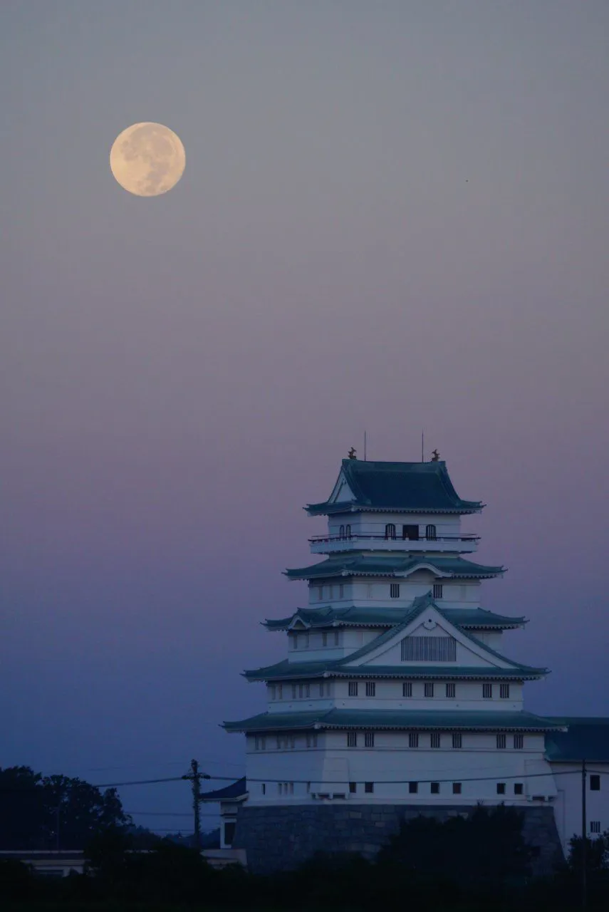 豊田城 No.0000