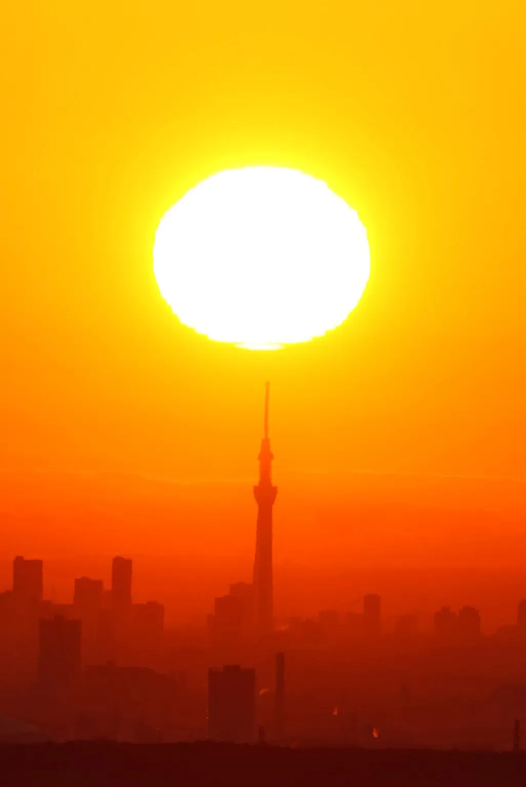 青梅から見るスカイツリー No.0000