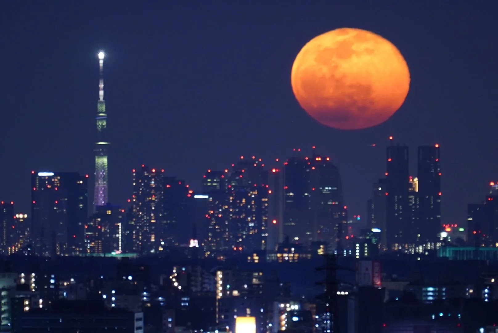 高幡不動から月を眺める No.0000