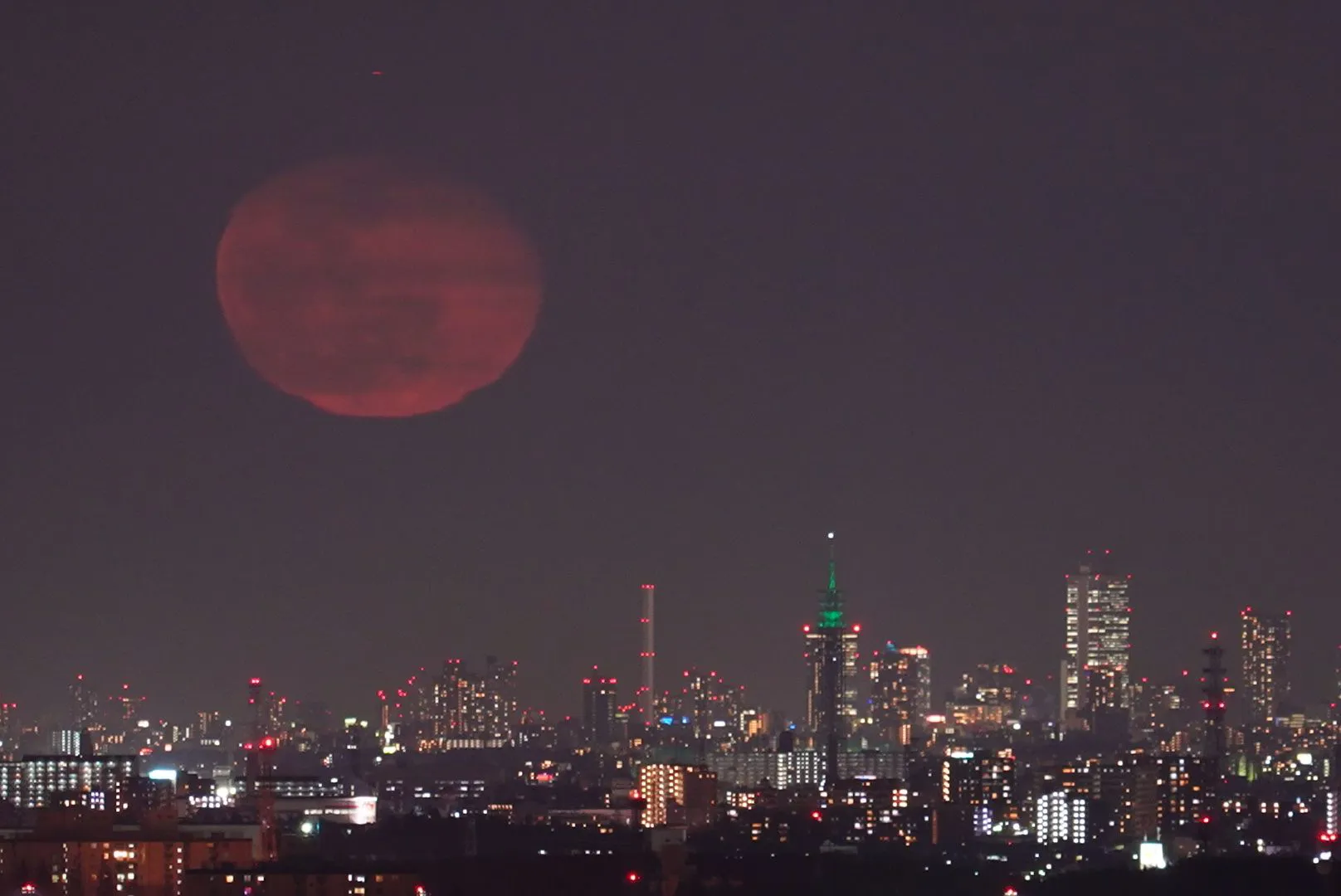 スカイタワー西東京　緑＝曇 No.0000