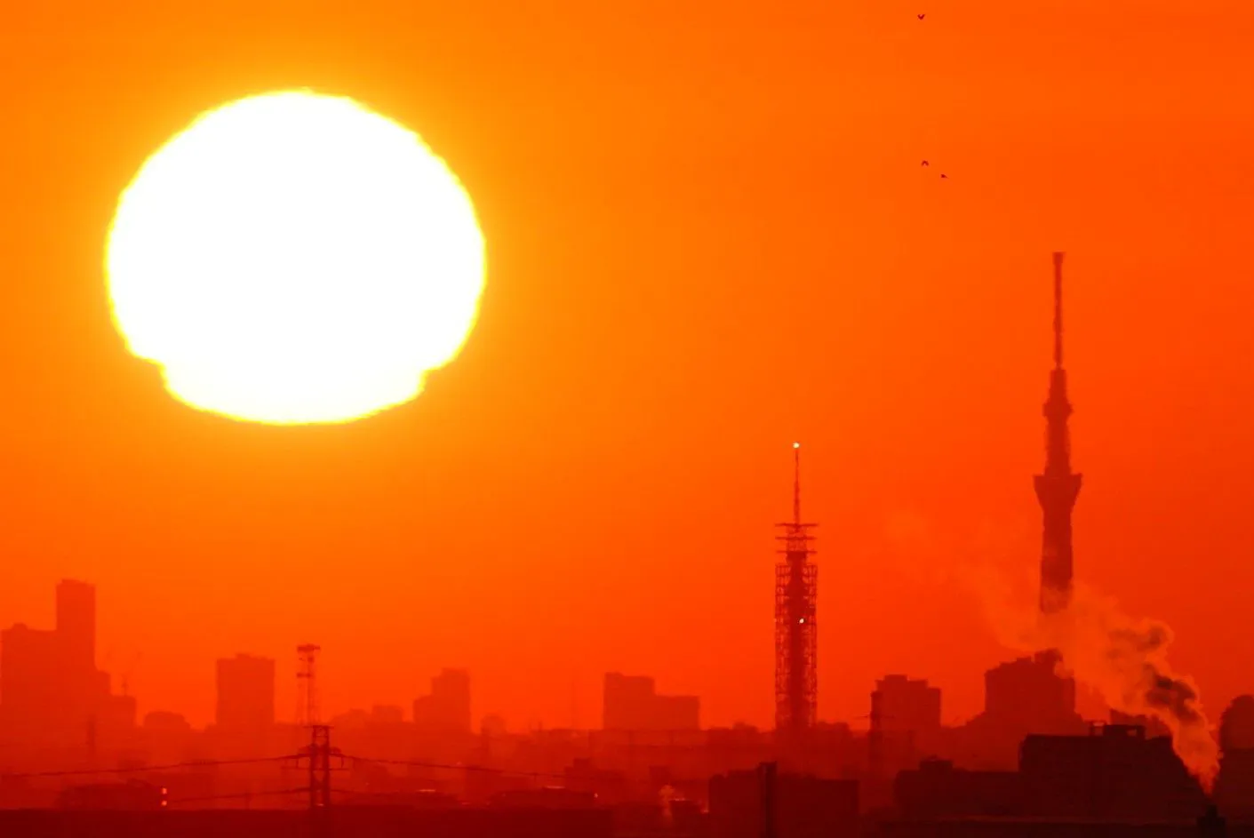 スカイタワー西東京と東京スカイツリー No.0000