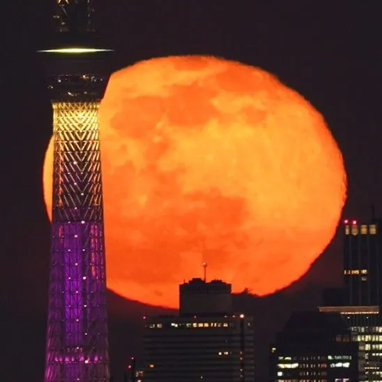 共演 No.0000