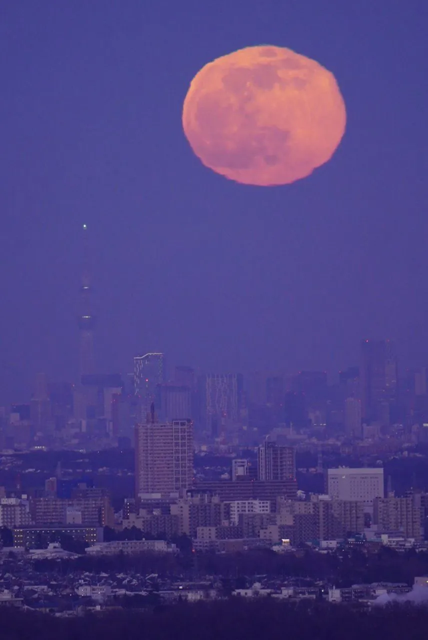 小さな満月 No.0000