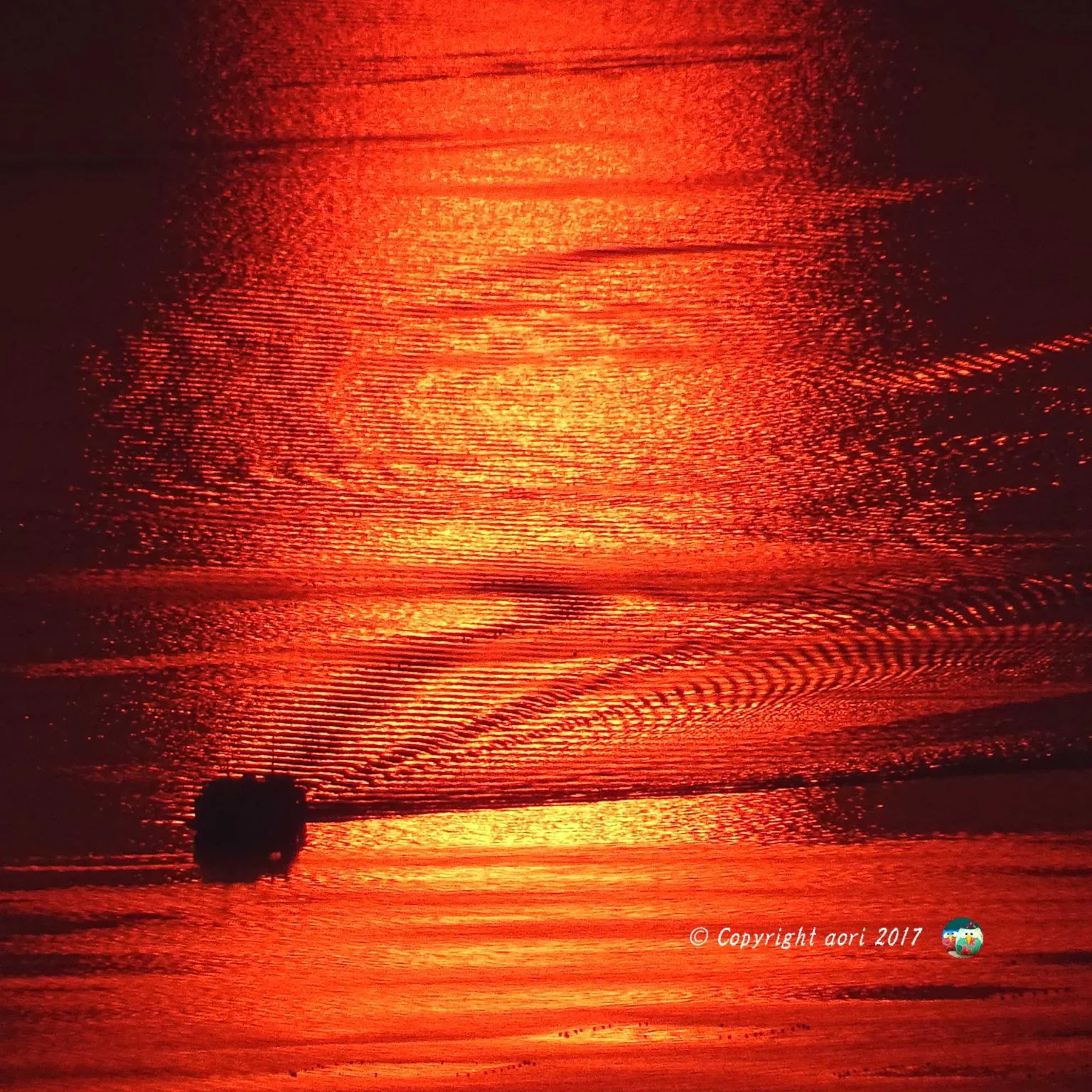 有明海 No.0000