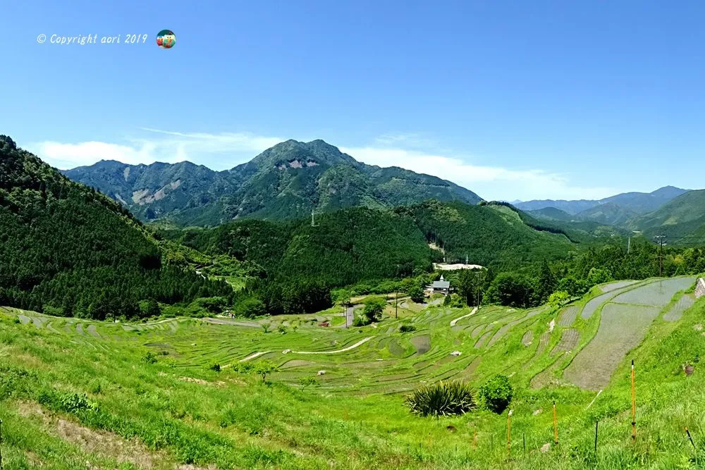 丸山千枚田 No.0000