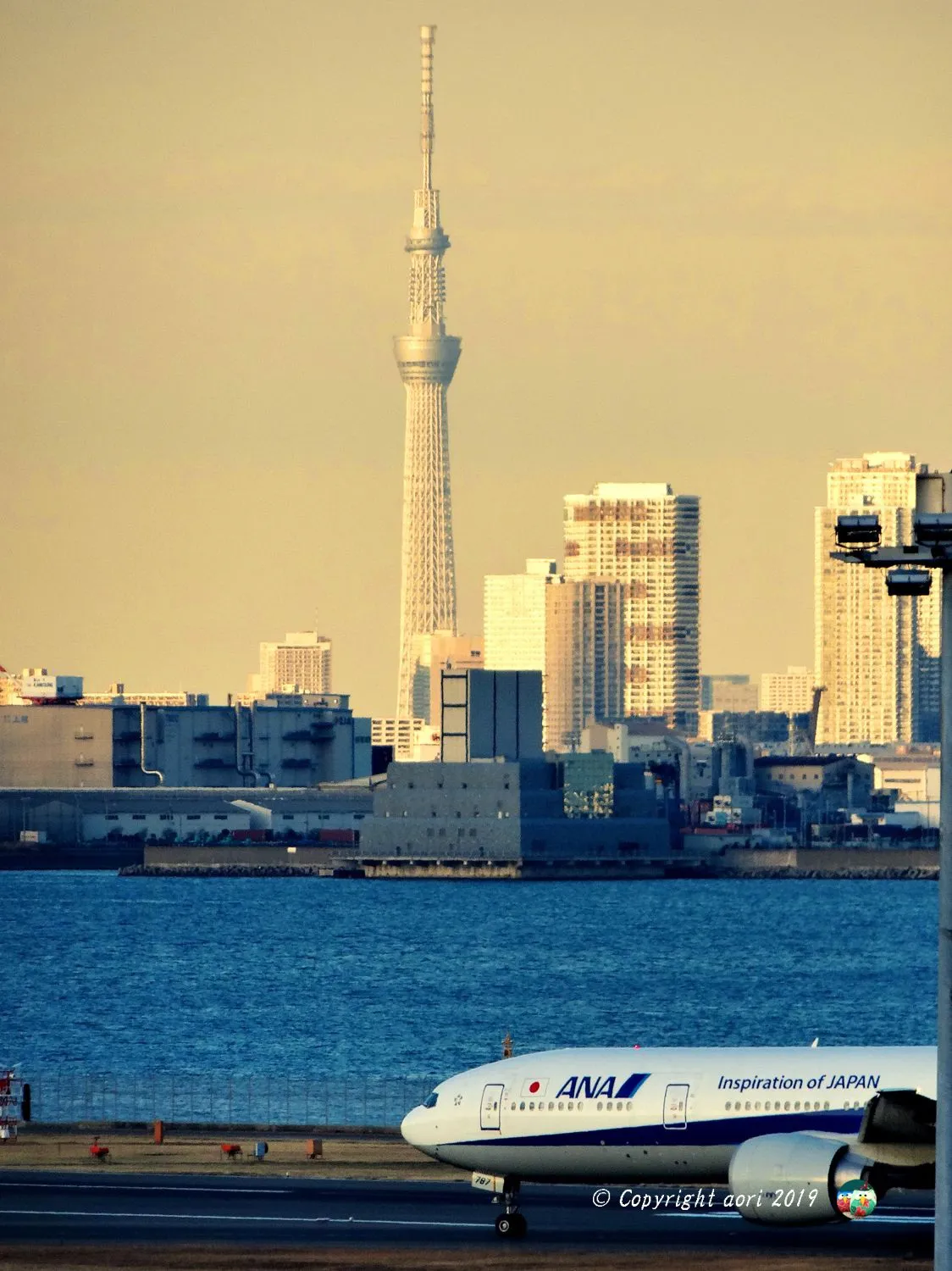 ＡＮＡとスカイツリー No.0000