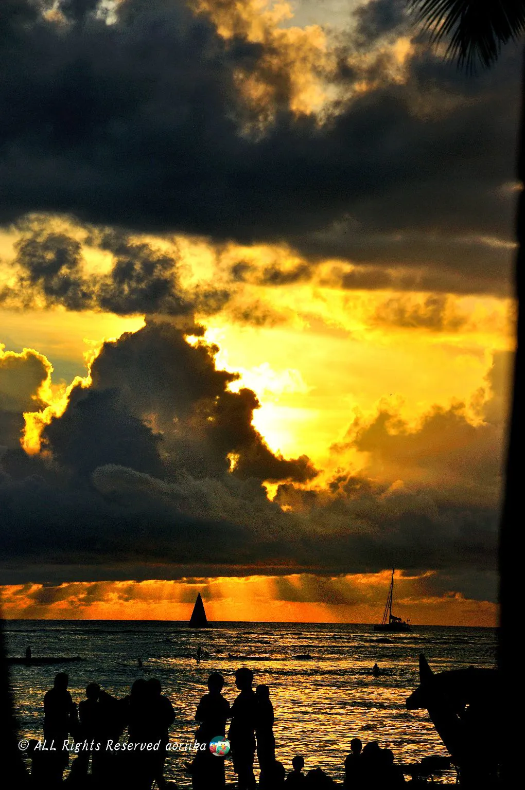 Waikiki No.0000