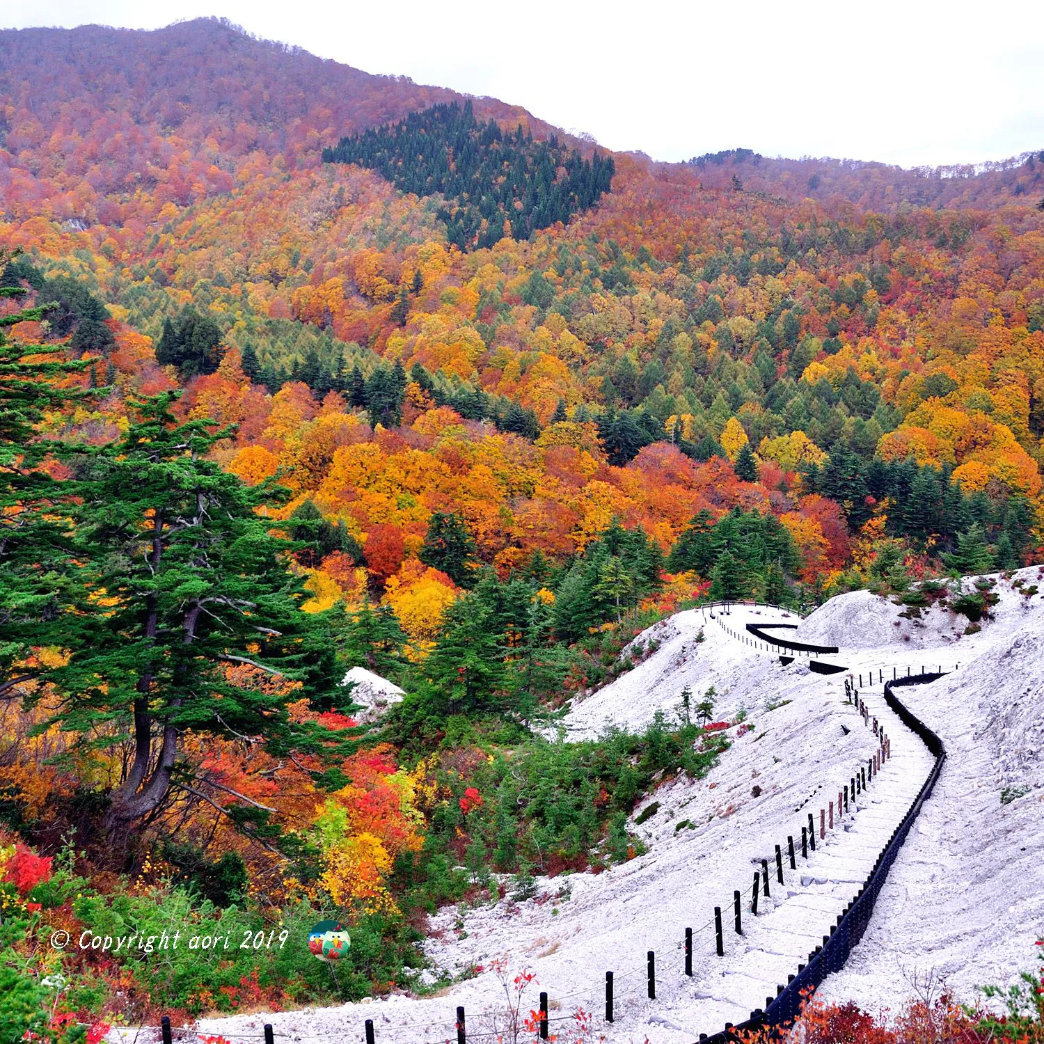川原毛地獄の紅葉 No.0000