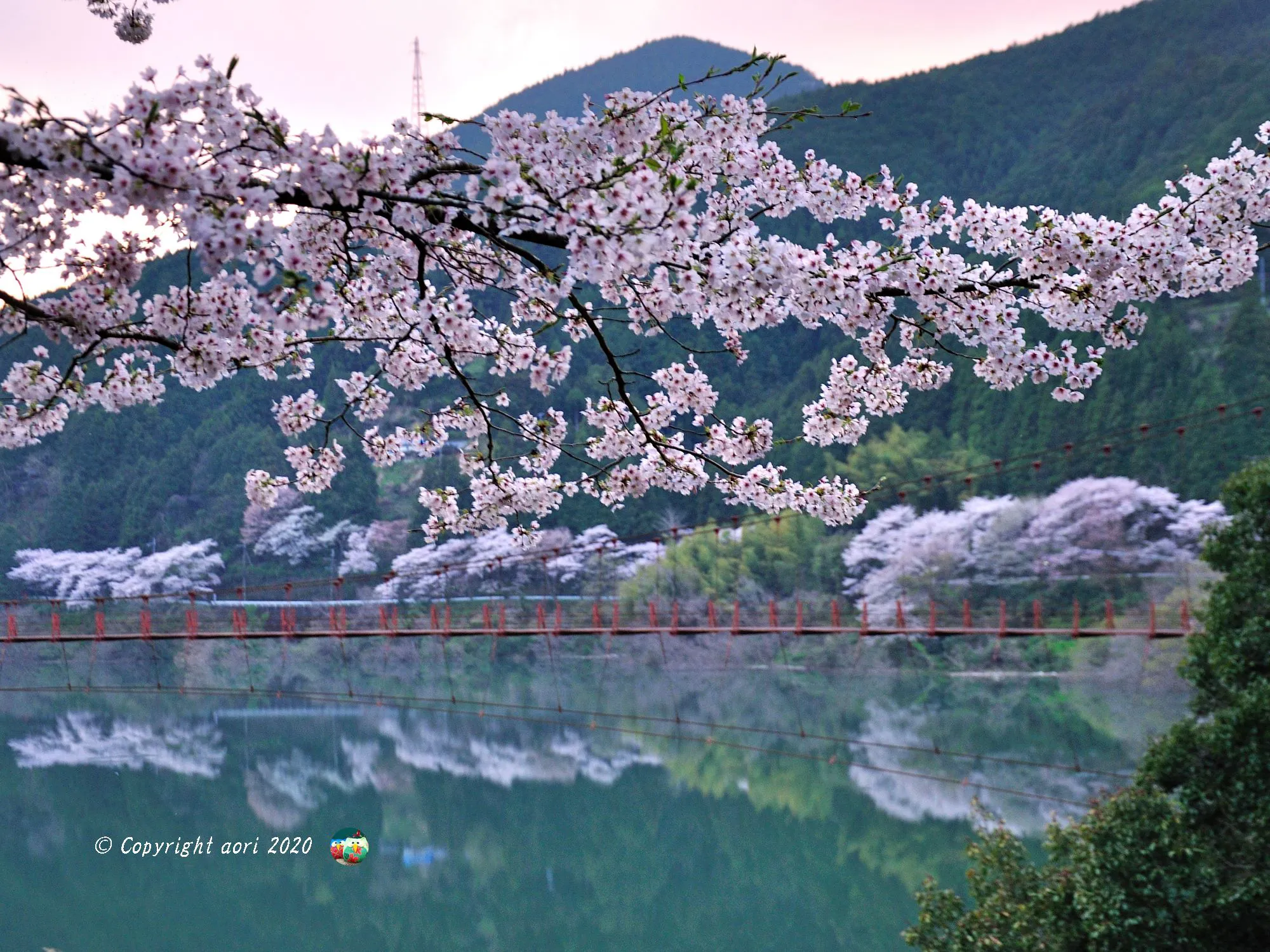 有田川 「春」 No.0000