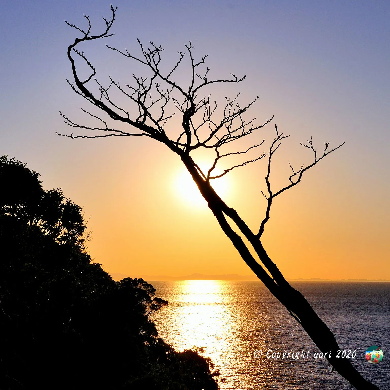 初夏、紀伊水道越しの風景、四国への落陽を眺める No.0000