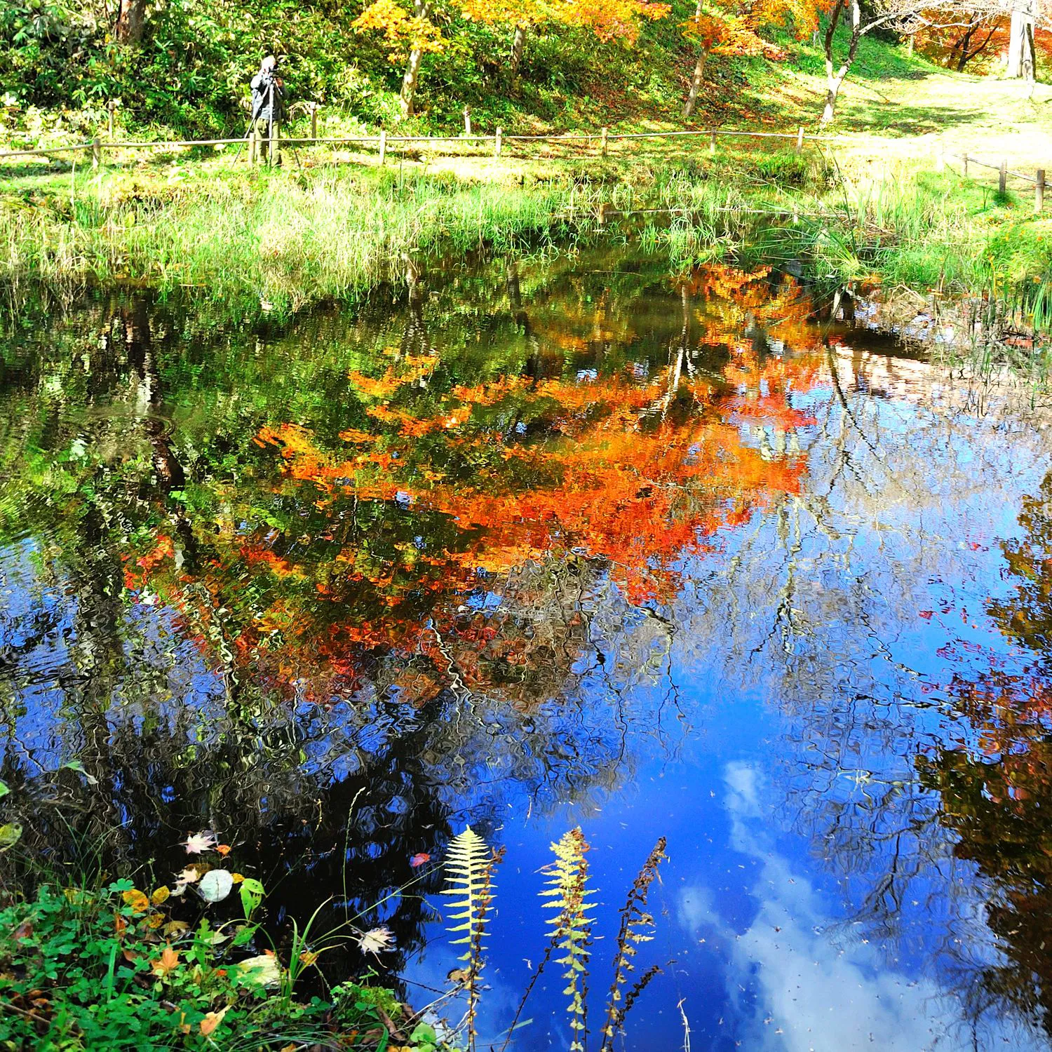 高遠城址公園 No.0000