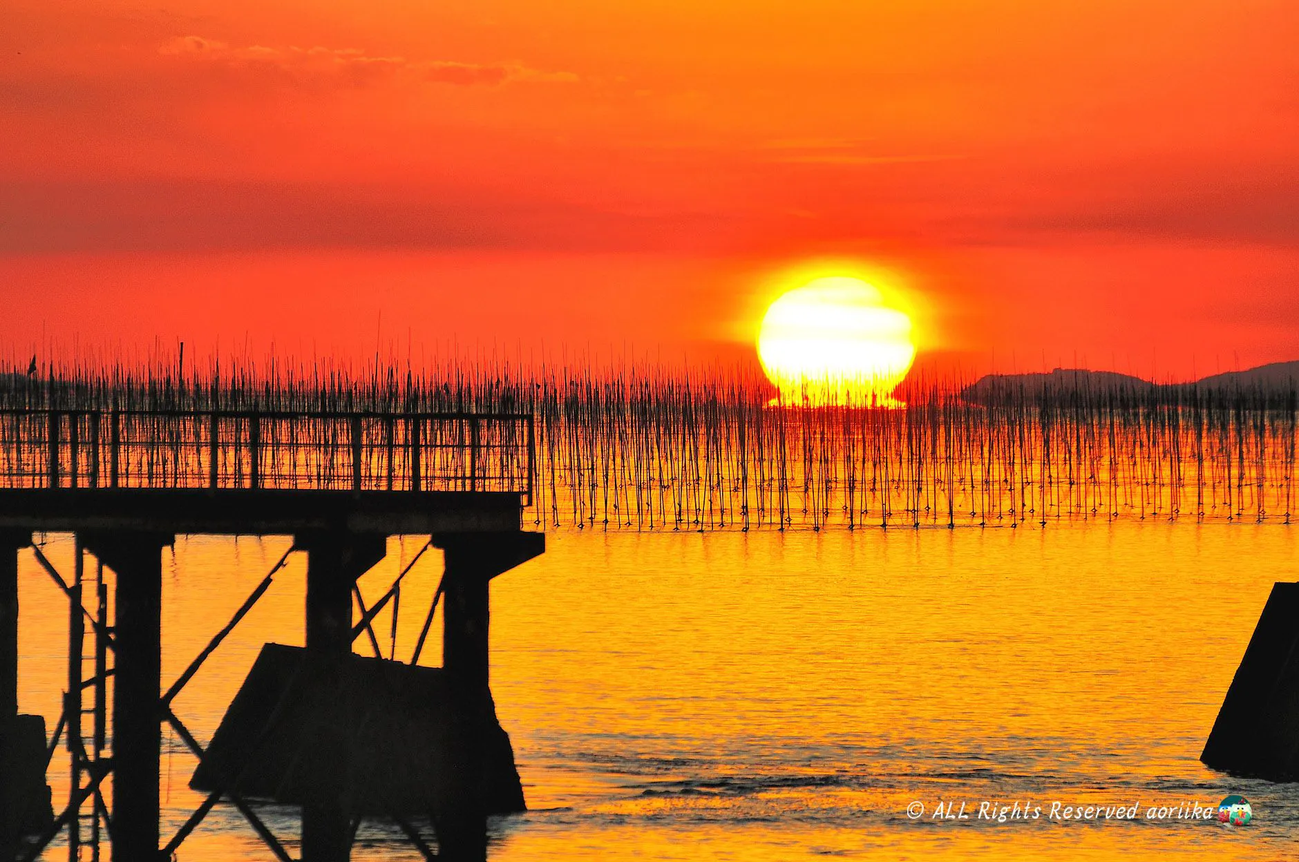 Sunset of seaweed farms No.0000