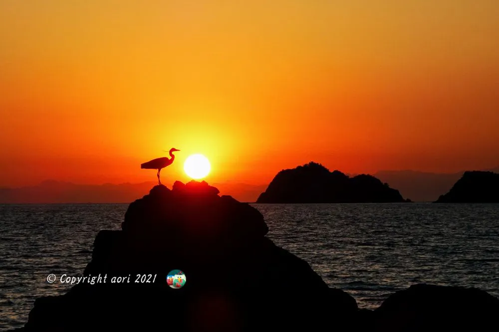 see you tomorrow♪ No.0000