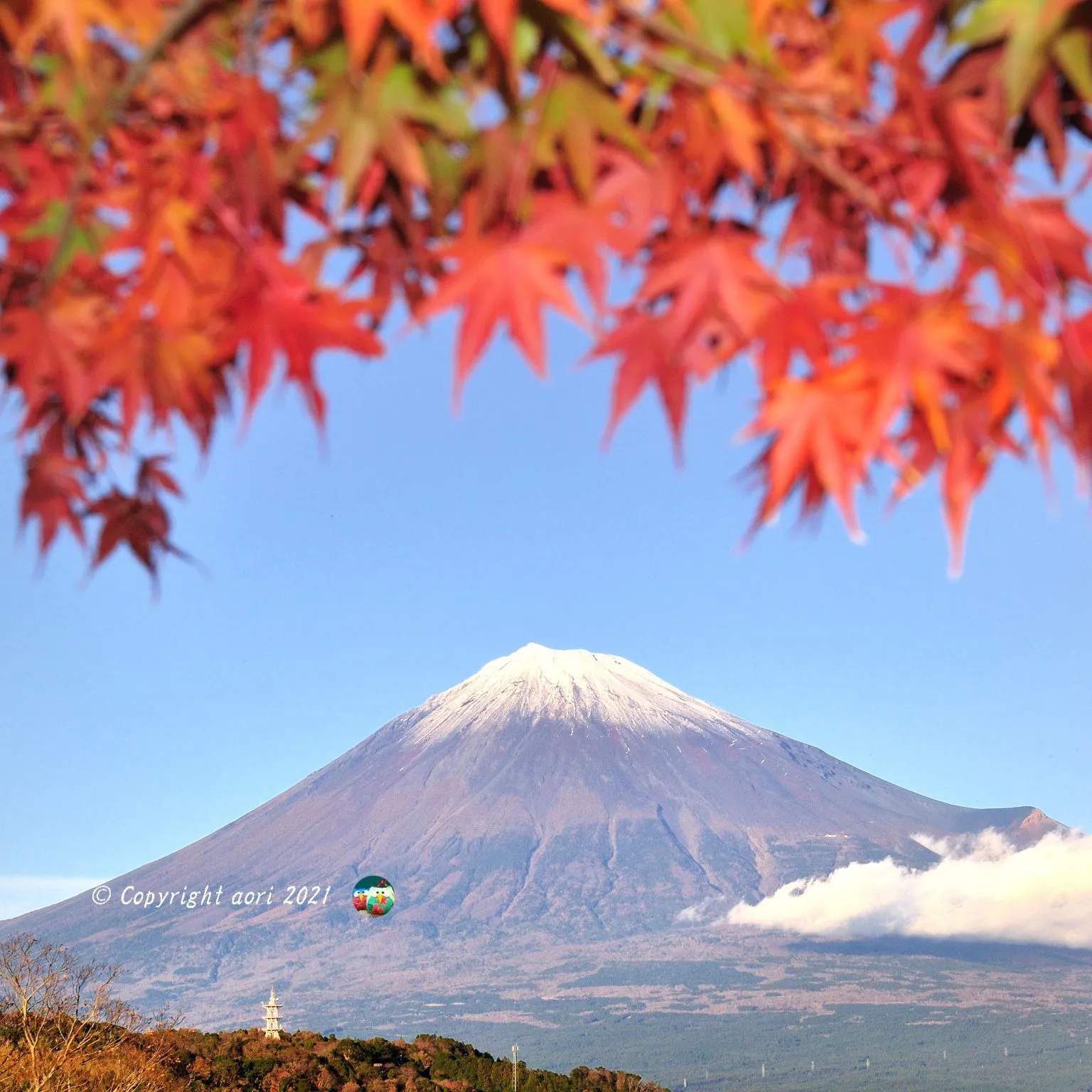 紅葉富士 No.0000