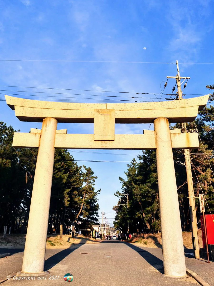 見上げれば青空に月 No.0000