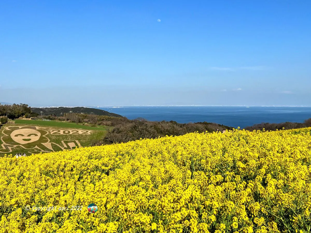 菜花の香りと大阪湾の月 No.0000