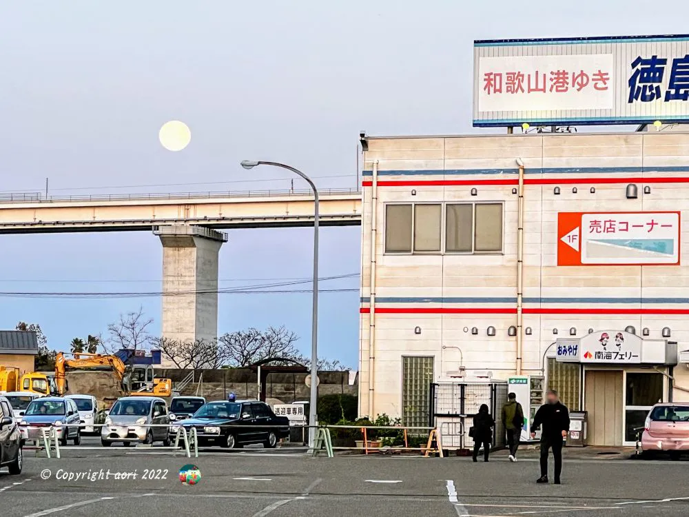 南海フェリー乗場 No.0000