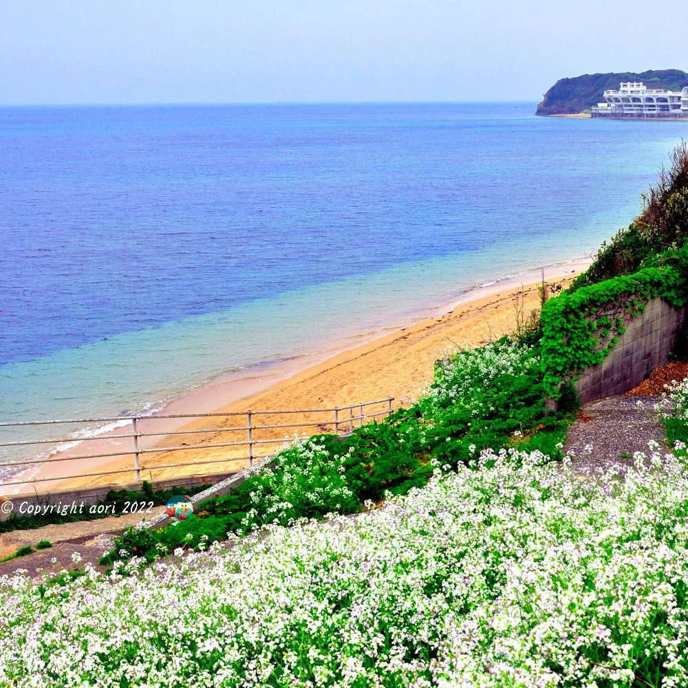 若松北海岸 No.0000