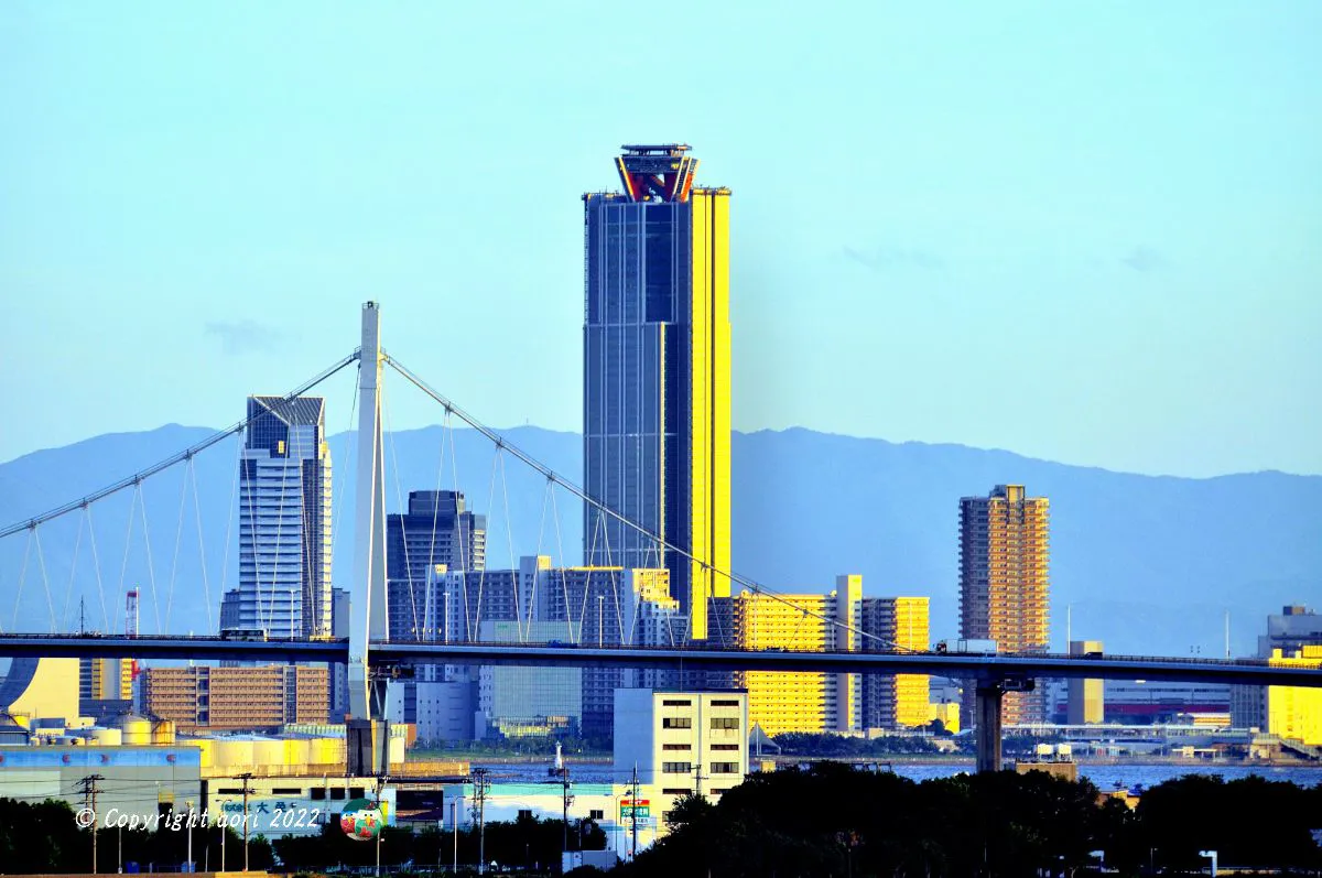 大阪南港地区ビル群を照らす夕陽 No.0000