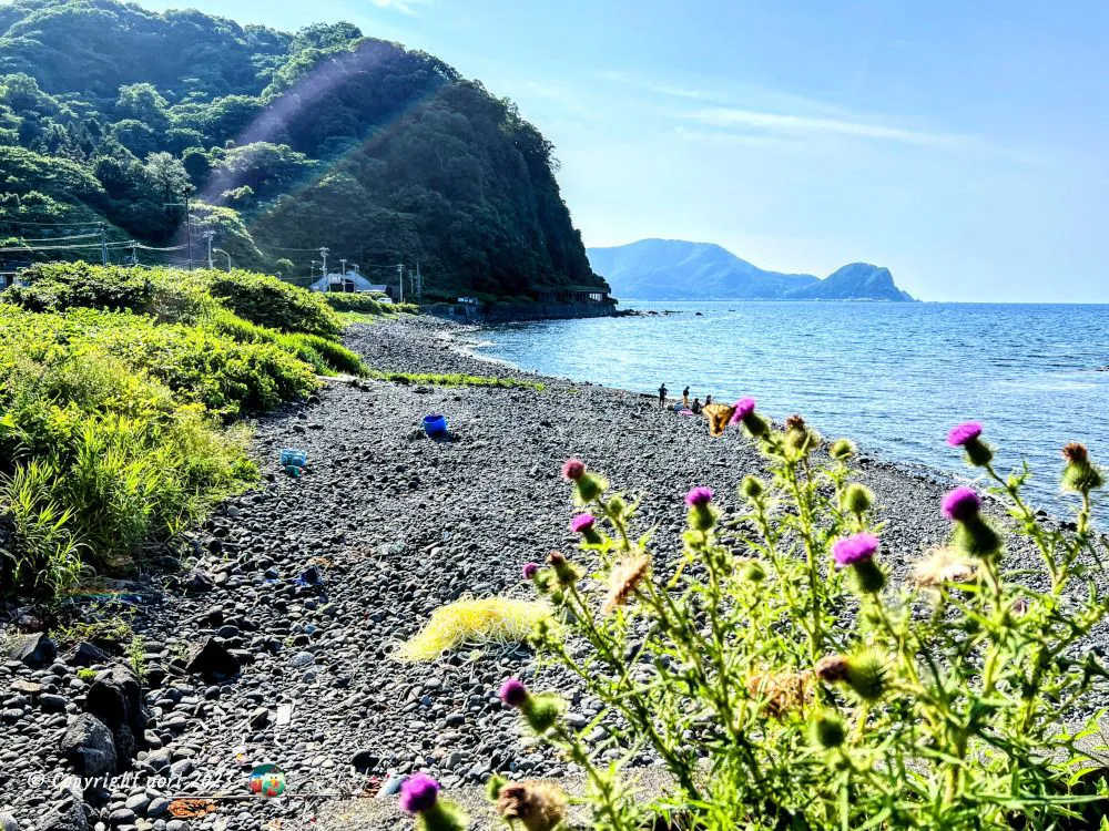 セタカムイの浜 No.0000