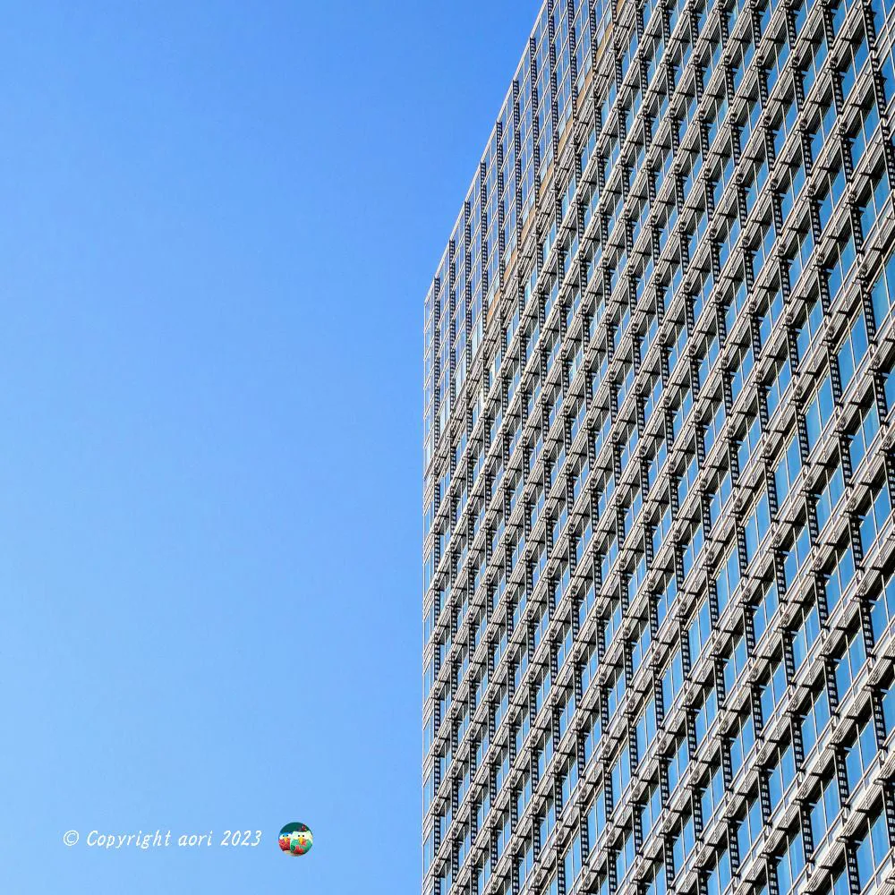 Windows No.0000