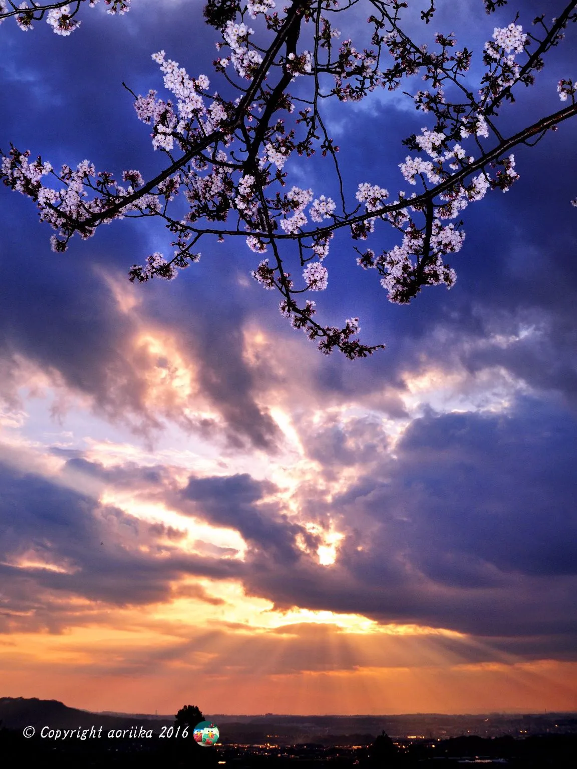 Feel of the coming of spring No.0000