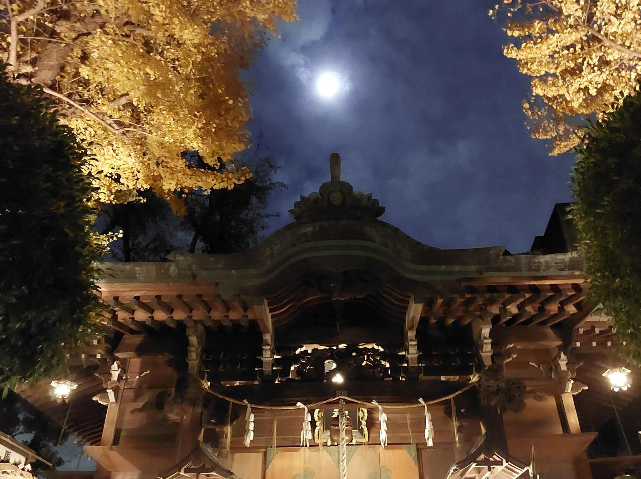 月夜の参拝 No.0000