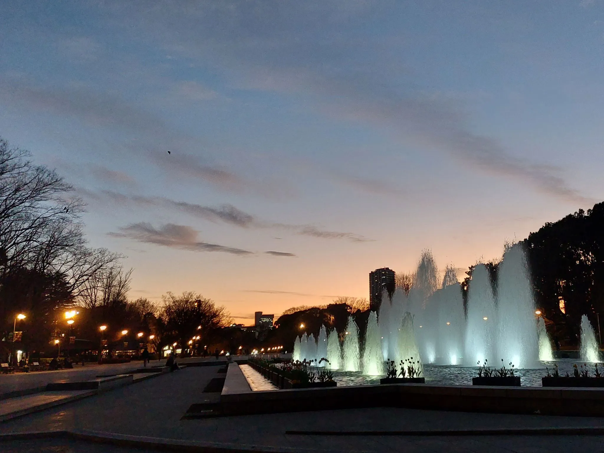 公園の夕暮れ No.0000