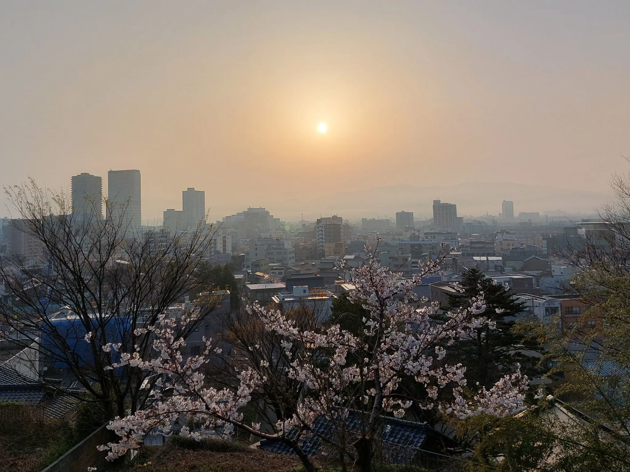 春の朝 No.0000