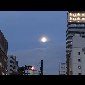 信号待ちの名月