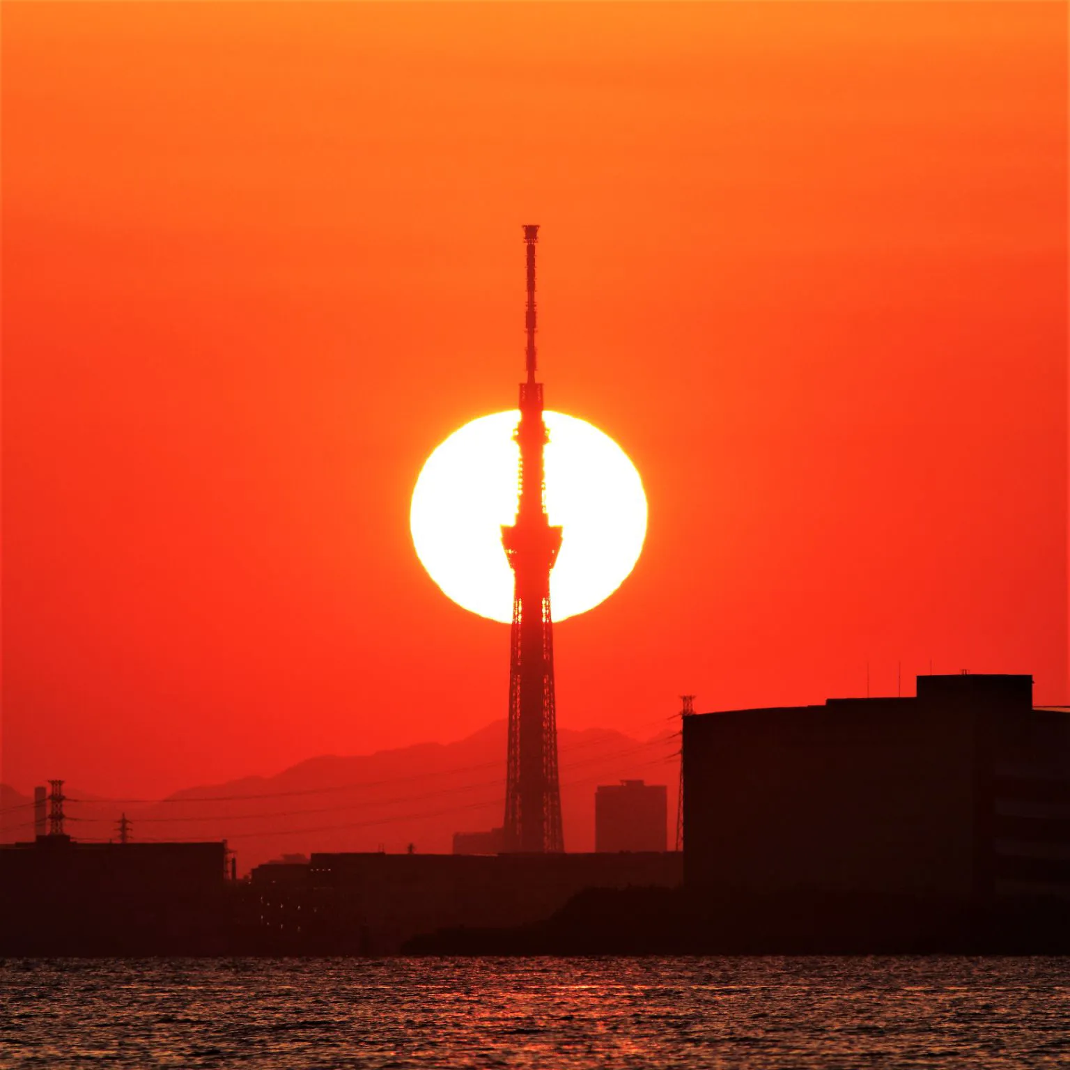 夕日とスカイツリー No.0000