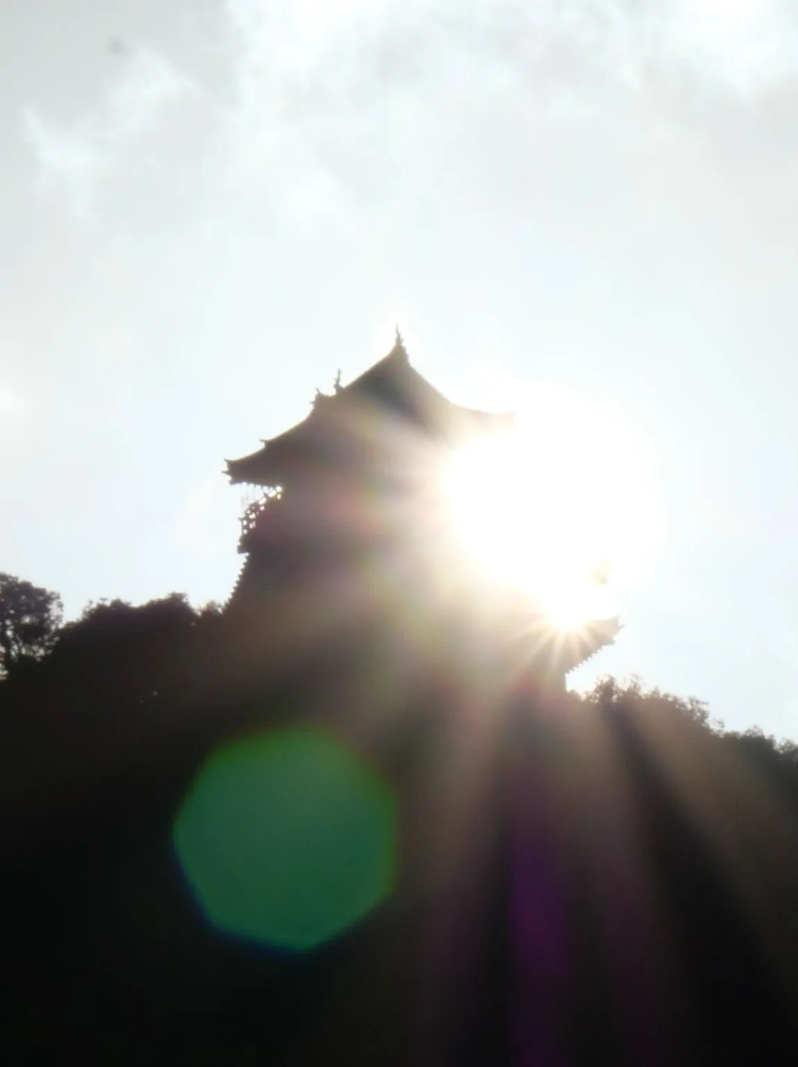 ダイヤモンド岐阜城 No.0002