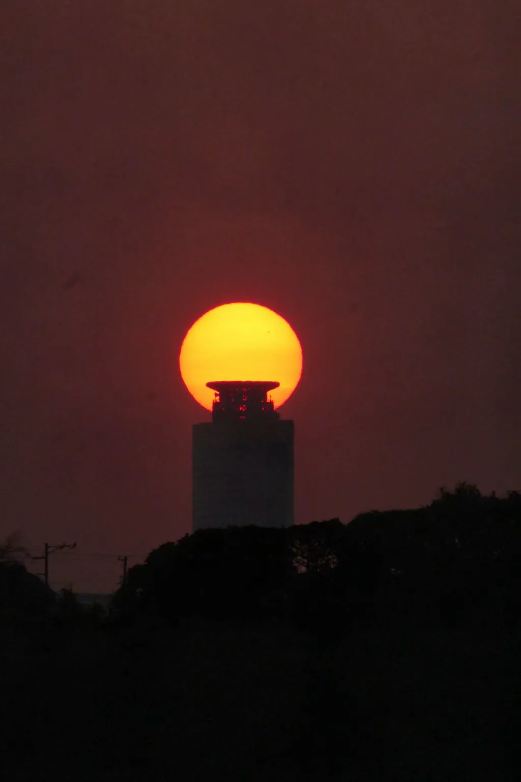 桜とアクトタワーと日の出 No.0001