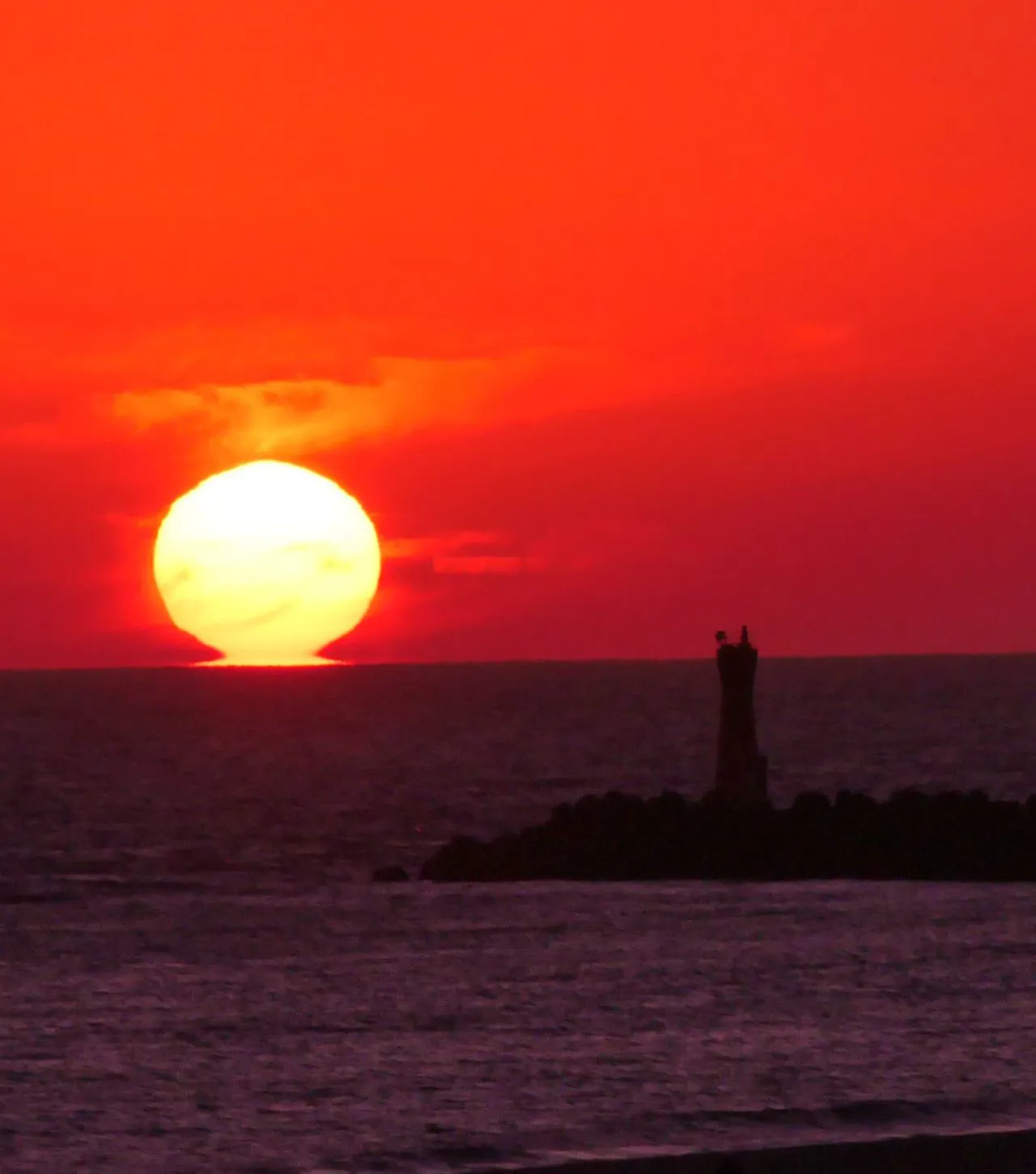 遠州だるま夕陽 No.0000