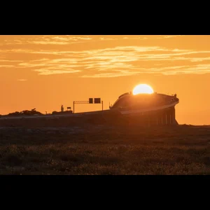 The Road to the Sun