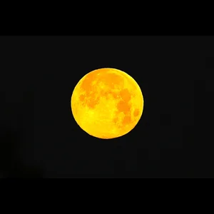 ウルフムーンその２