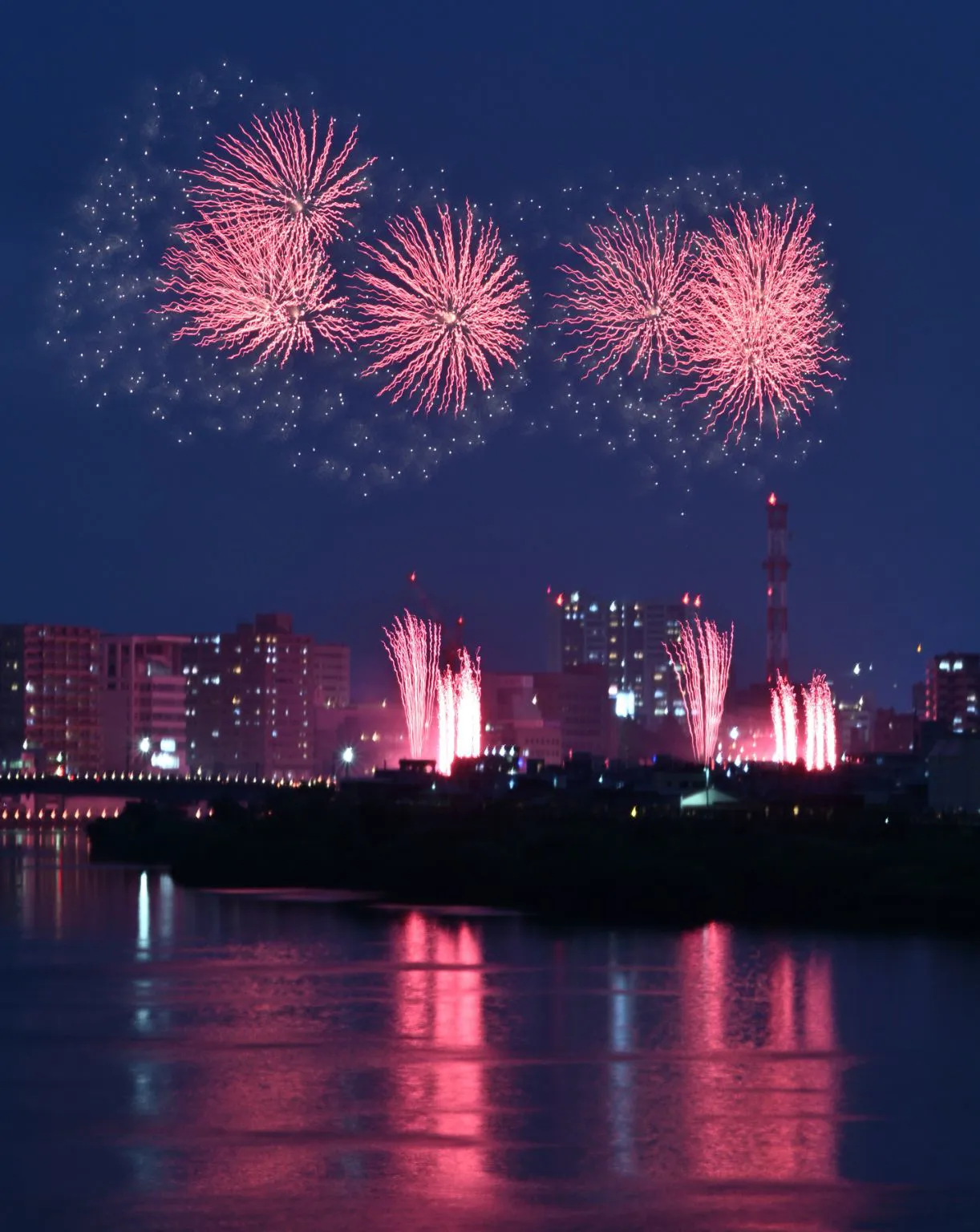 狩野川花火2026 No.0002