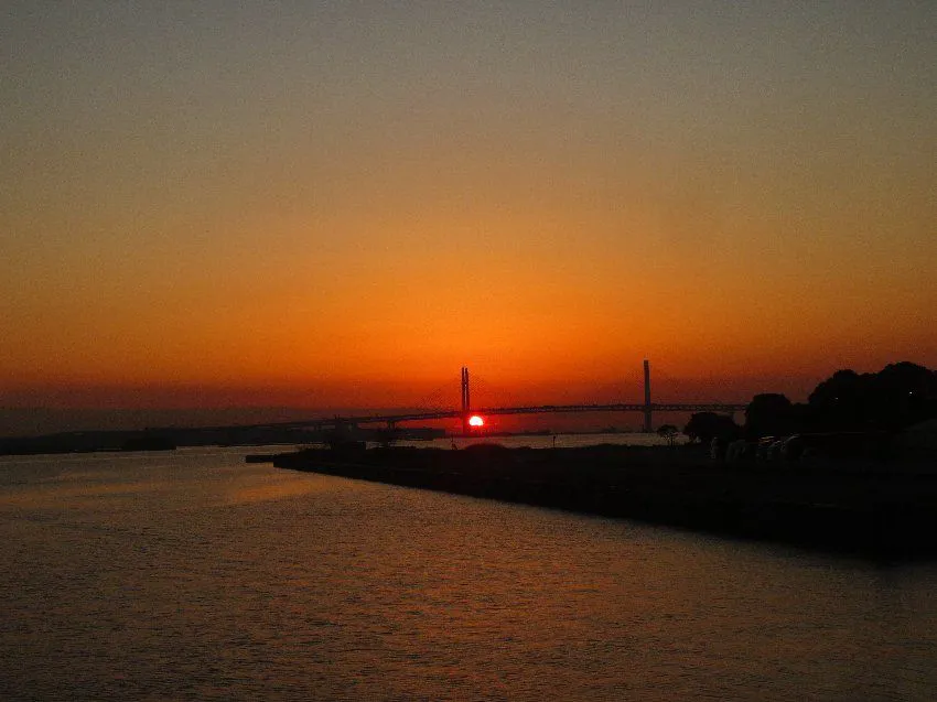 横浜中央市場横より、 No.0001